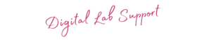 logo dls